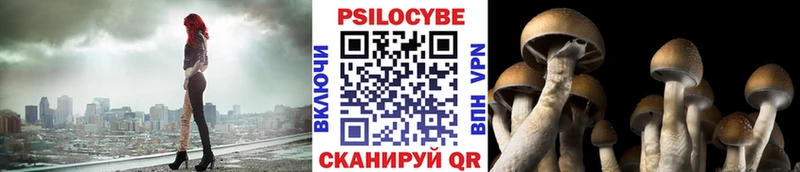 сколько стоит  Алексеевка  Псилоцибиновые грибы мицелий 